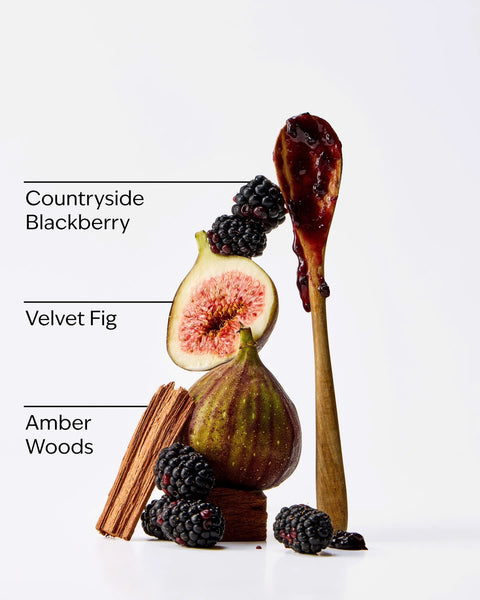 PREVENTA - Wild Blackberry Jam
