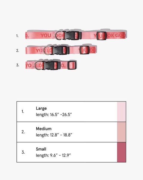 PREVENTA - You Look Good Collar