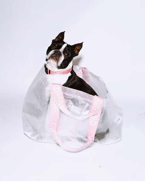 PREVENTA- Errand Bag