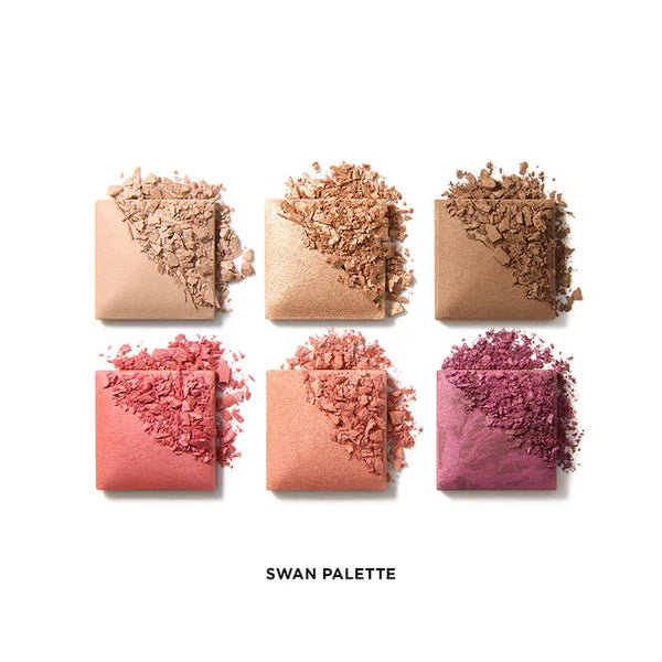 PREVENTA - Ambient Lighting Edit Unlocked Palette - SWAN